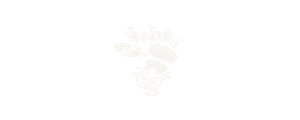 Nervous Records
